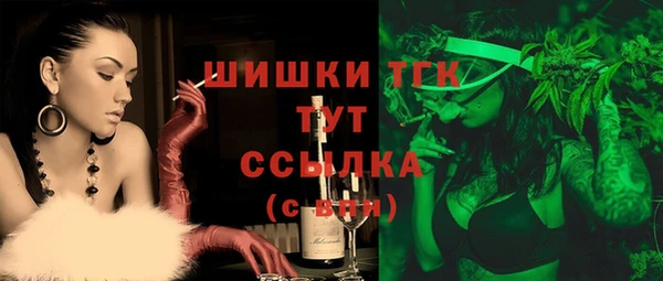 прущие грибы Приозерск