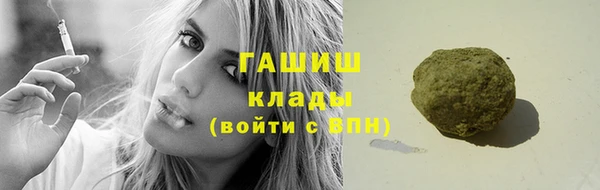 прущие грибы Приозерск