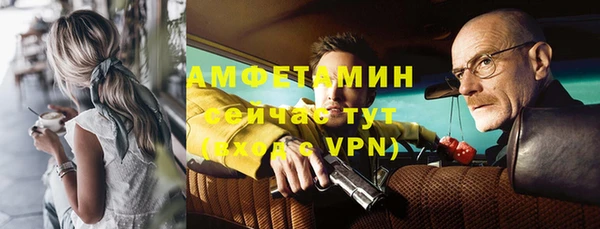 прущие грибы Приозерск