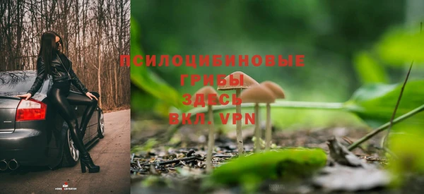 прущие грибы Приозерск