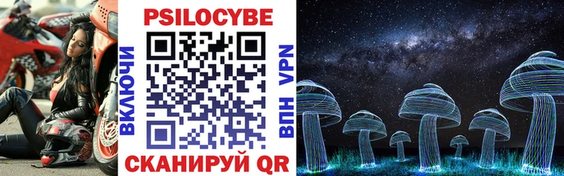 Псилоцибиновые грибы MAGIC MUSHROOMS  Купить закладки  Шенкурск 