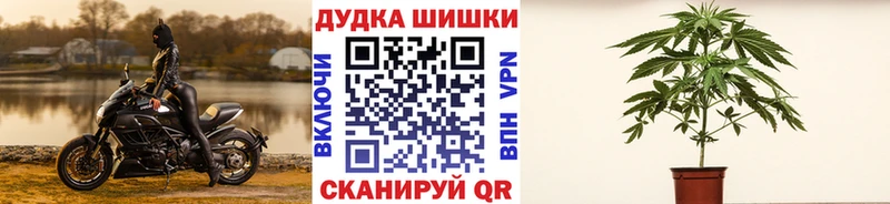 Купить где  Шенкурск  Бошки марихуана планчик 